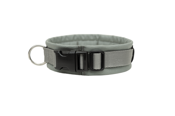 annyx Steckhalsband Fun grau/silber